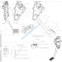 PEDALA ACCELERATIE