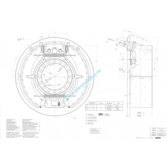 placute frana